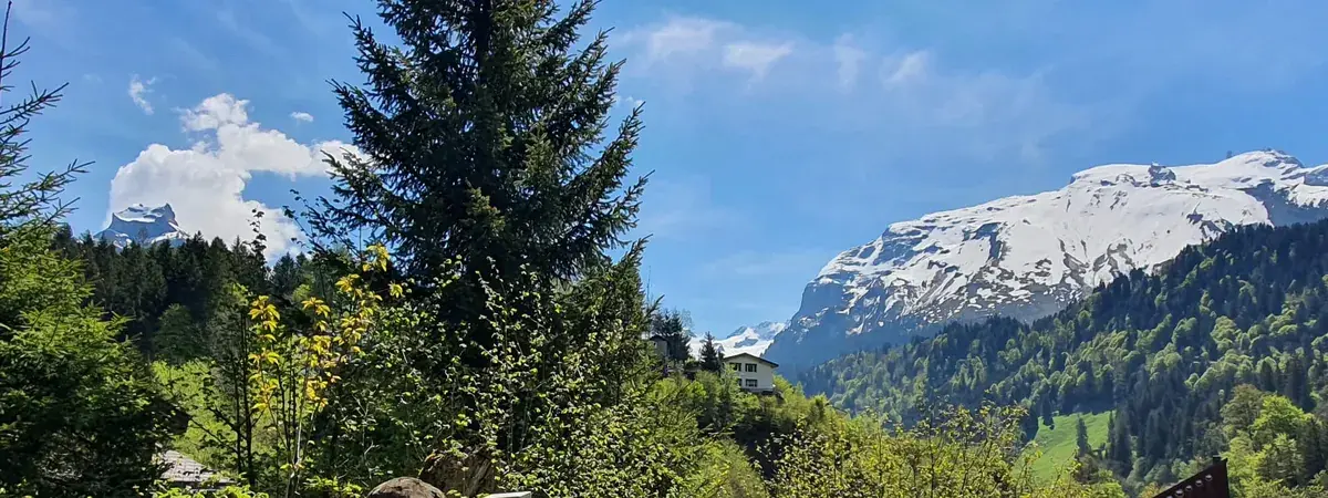 Bergblick von der Ferienwohnung Engelberg auf Titlis und Hahnen