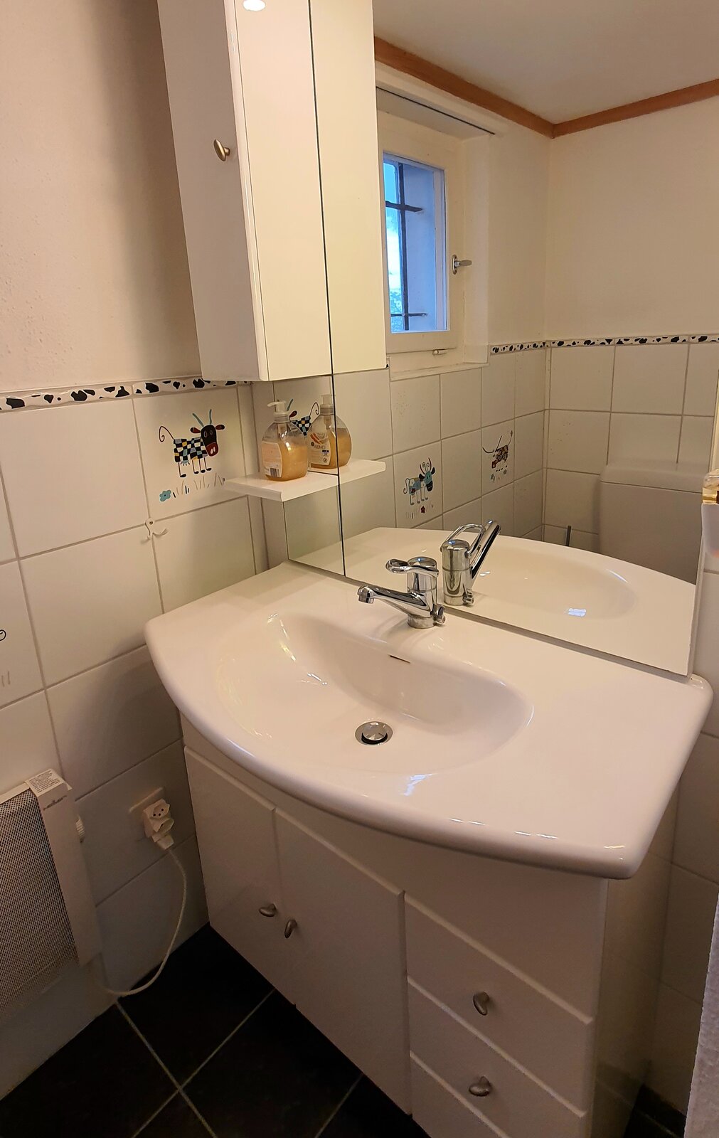 Bathroom sink and mirror