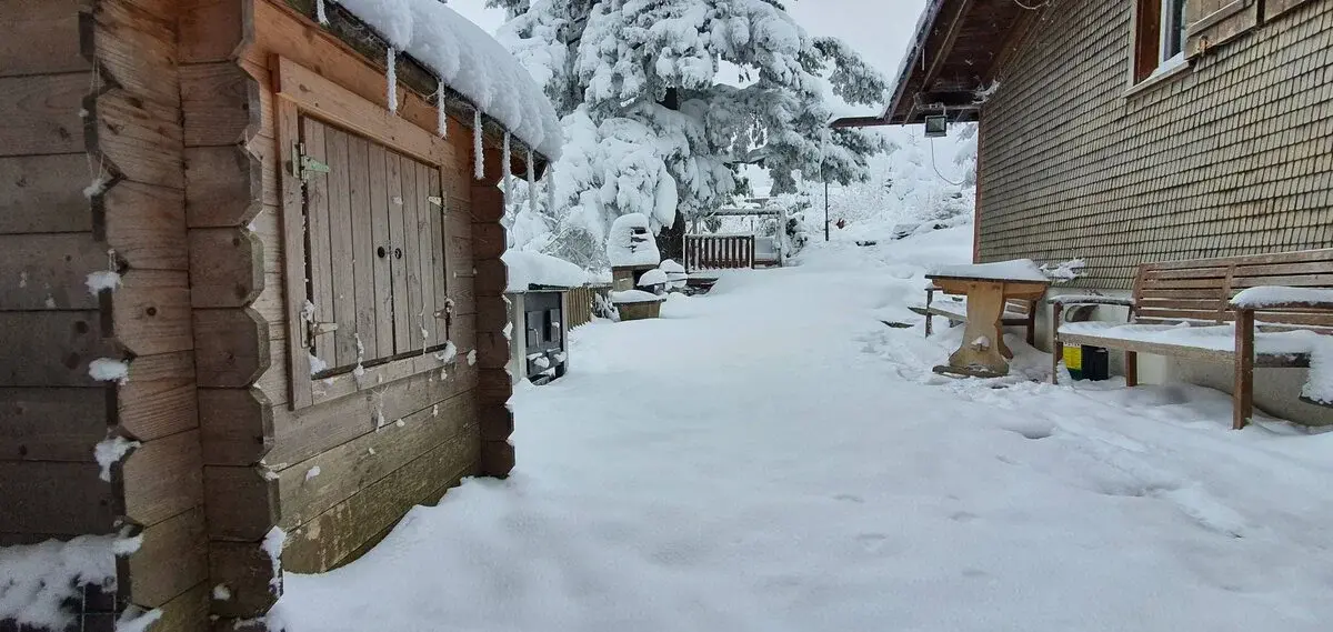Garden in winter snow with mountain views