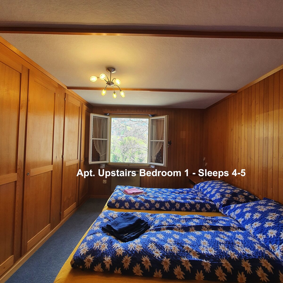 Back bedroom overview