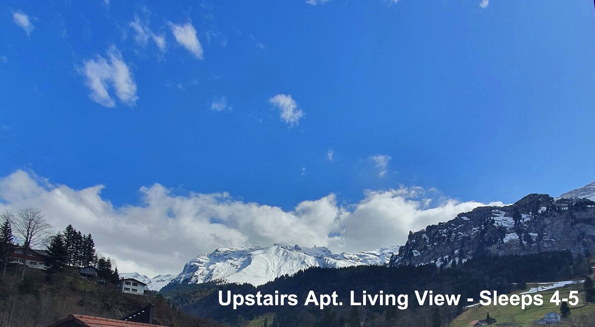Living room with mountain view