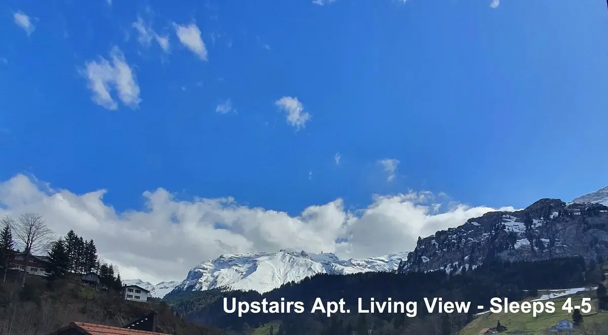 Living room with mountain view